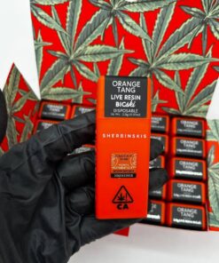 Sherbinski Disposable